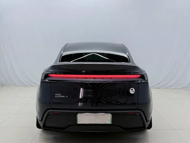 Tesla Model Y — Фото автомобиля 13