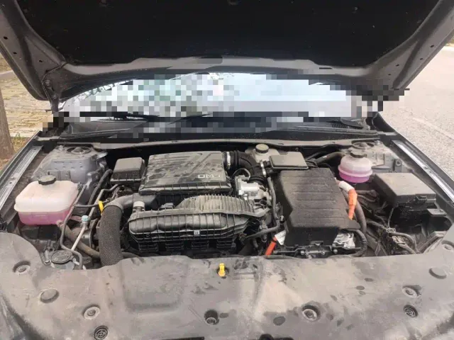 BYD Qin PLUS — Фото автомобиля 21