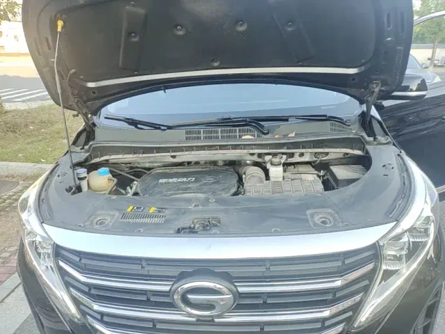 GAC Trumpchi M8 — Фото автомобиля 19