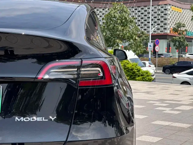 Tesla Model Y — Фото автомобиля 13