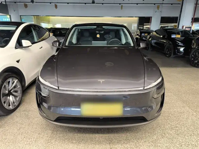 Tesla Model Y — Фото автомобиля 2