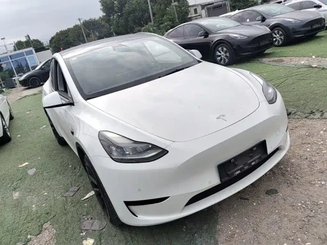 Tesla Model Y — Фото автомобиля 3