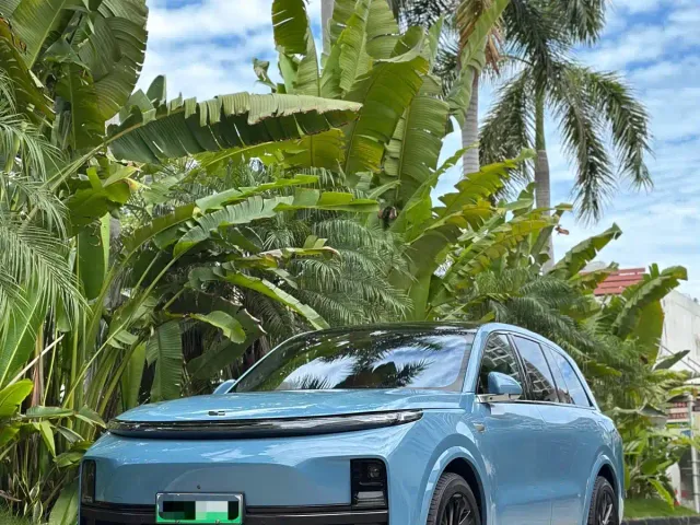 Li Auto L8 — Фото автомобиля 6
