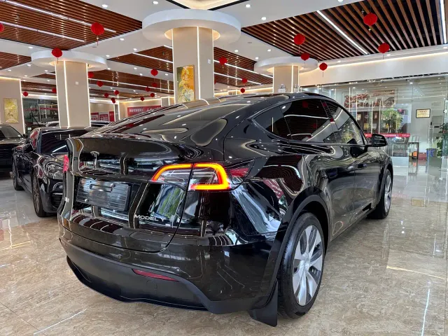 Tesla Model Y — Фото автомобиля 4