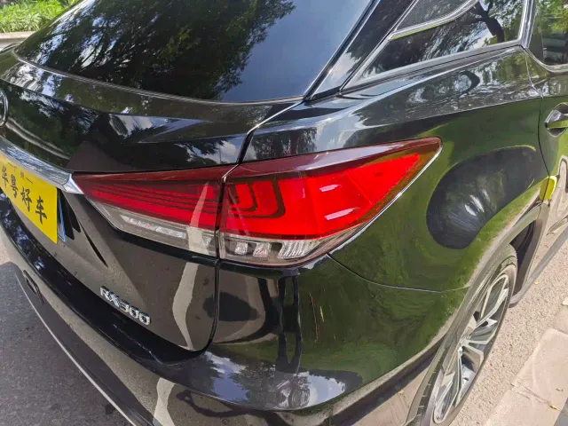 Lexus RX — Фото автомобиля 28