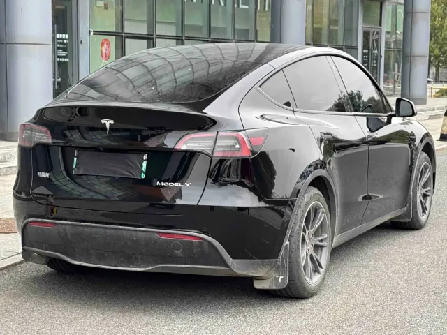Tesla Model Y — Фото автомобиля 4