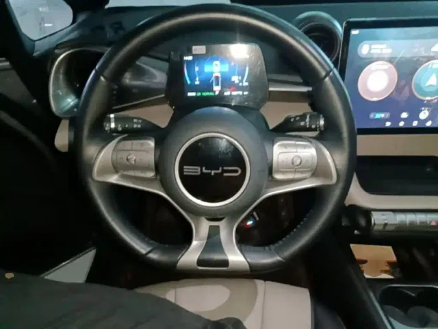 BYD Dolphin — Фото автомобиля 10