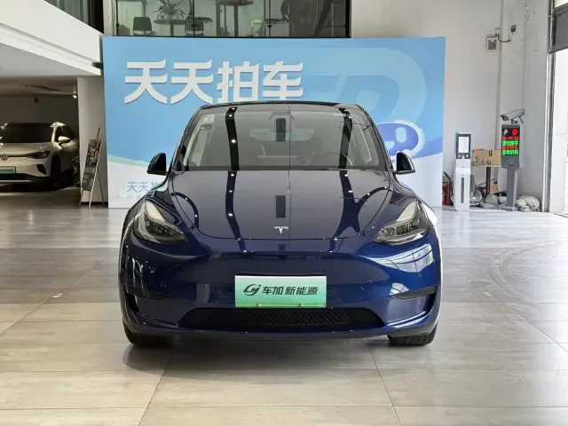 Tesla Model Y — Фото автомобиля 2