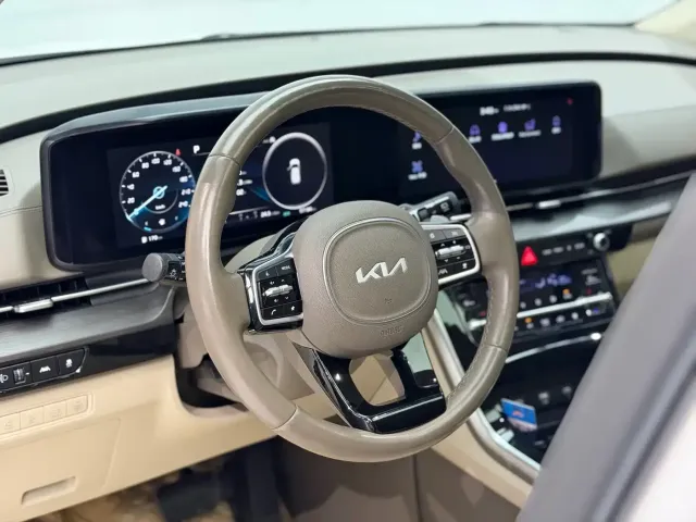 Kia Carnival — Фото автомобиля 8