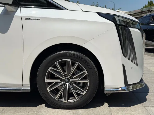 GAC Trumpchi M8 — Фото автомобиля 26