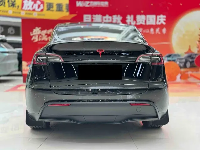 Tesla Model Y — Фото автомобиля 8