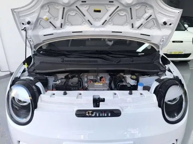 Changan Lumin — Фото автомобиля 19