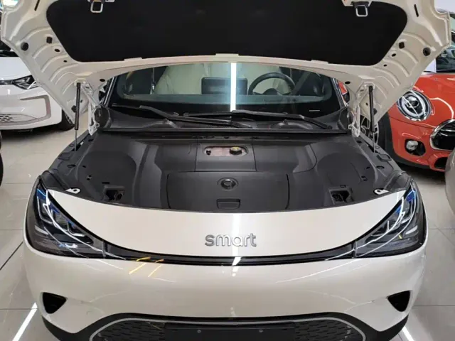smart smart Elf #1 2022 Pulse Heartbeat Edition — Фото автомобиля 19