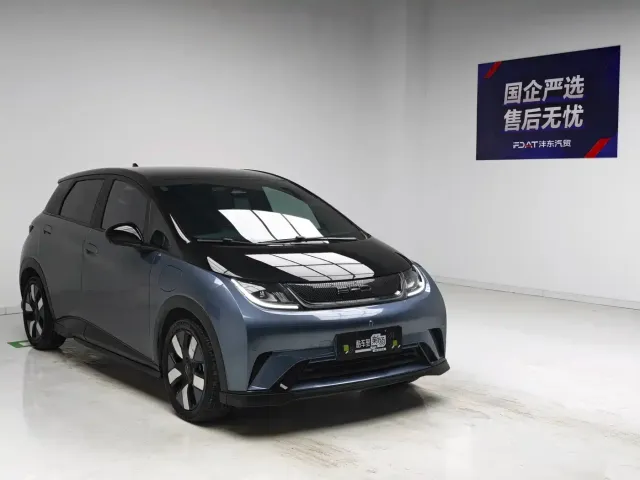 BYD Dolphin — Фото автомобиля 3