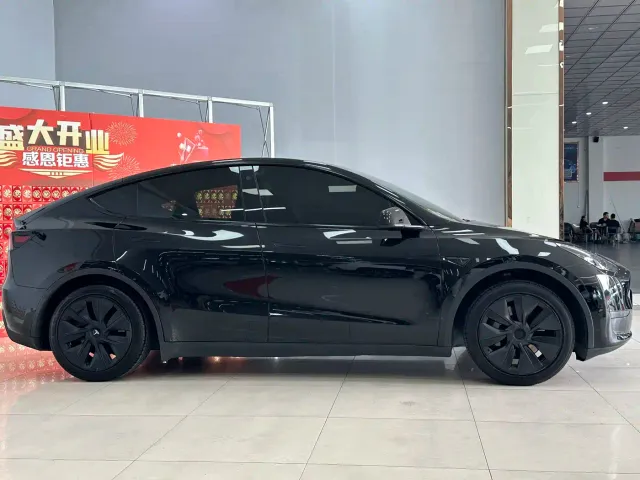 Tesla Model Y — Фото автомобиля 4