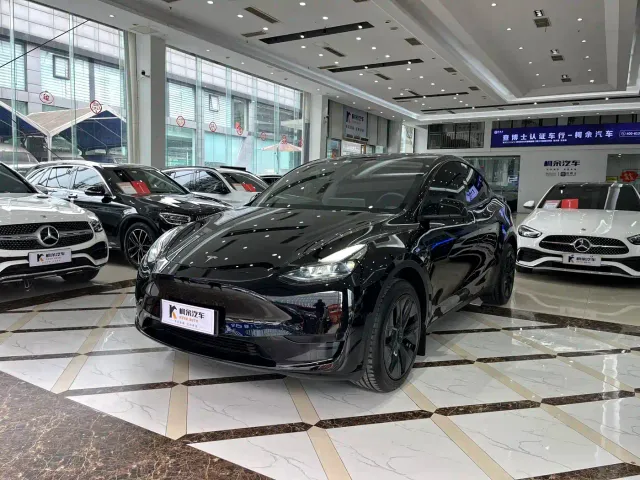 Tesla Model Y — Фото автомобиля 2