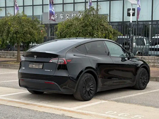 Tesla Model Y — Фото автомобиля 4