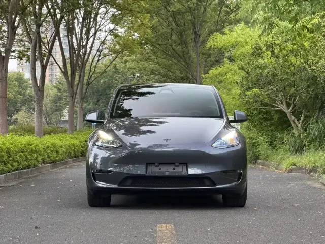 Tesla Model Y — Фото автомобиля 2