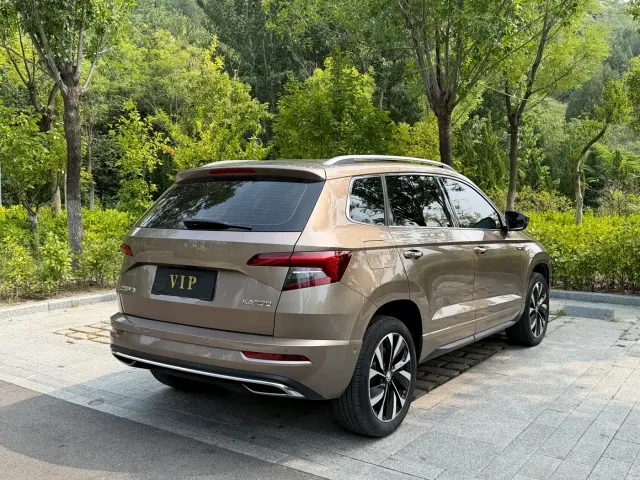 Skoda Karoq — Фото автомобиля 13