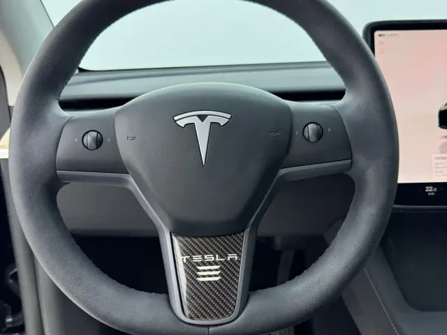 Tesla Model Y — Фото автомобиля 10