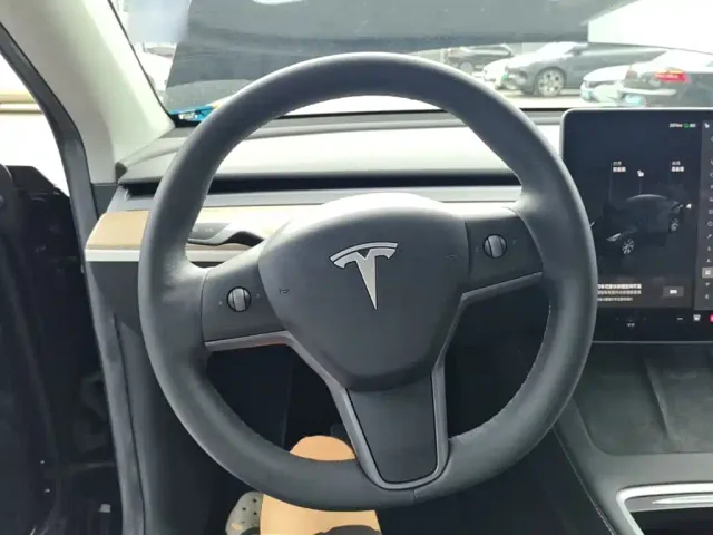 Tesla Model Y — Фото автомобиля 10