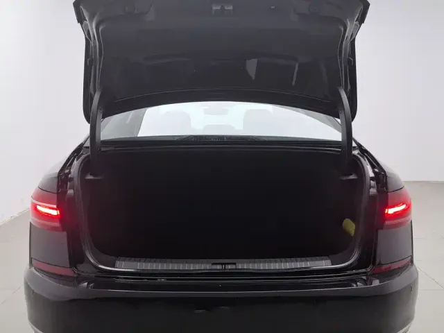 Volkswagen Passat — Фото автомобиля 16