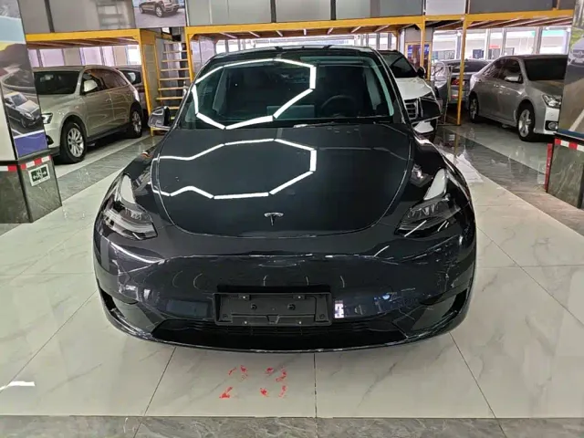 Tesla Model Y — Фото автомобиля 2