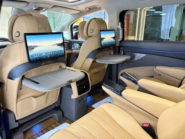 Denza D9 — Фото автомобиля 13