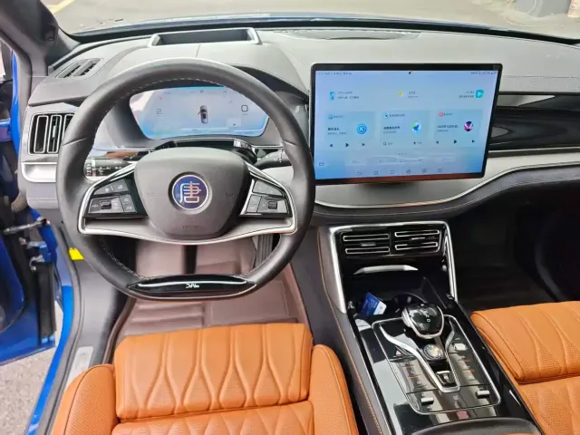 BYD Tang New Energy 2022 DM-i 252KM Executive — Фото автомобиля 7