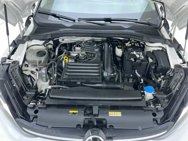 Volkswagen Lamando — Фото автомобиля 30