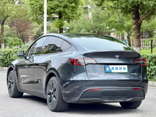 Tesla Model Y — Фото автомобиля 6