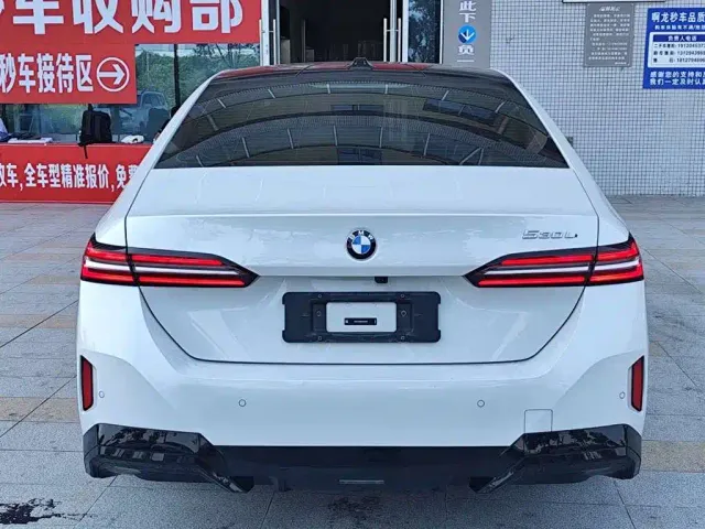 BMW 5 Series — Фото автомобиля 8