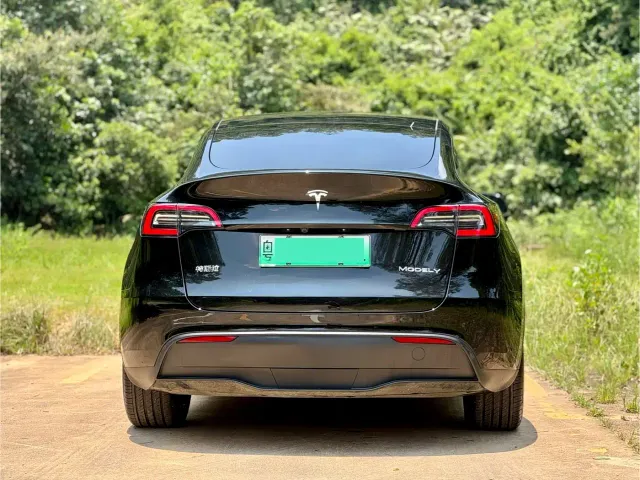 Tesla Model Y — Фото автомобиля 5