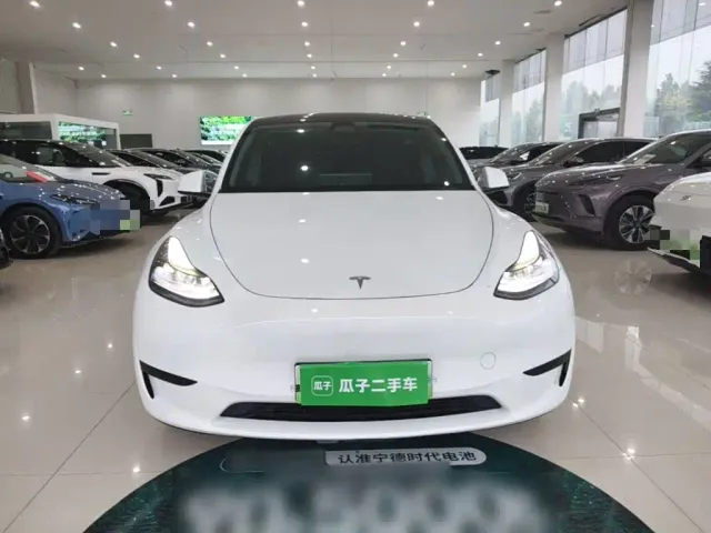 Tesla Model Y — Фото автомобиля 2