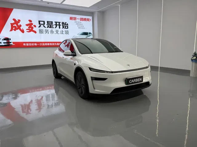 Tesla Model Y — Фото автомобиля 3