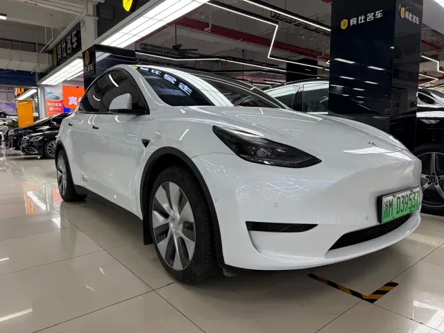 Tesla Model Y — Фото автомобиля 2
