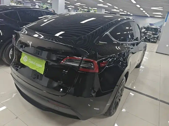Tesla Model Y — Фото автомобиля 6