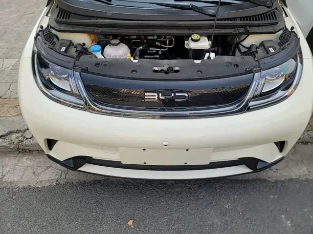 BYD Dolphin — Фото автомобиля 19