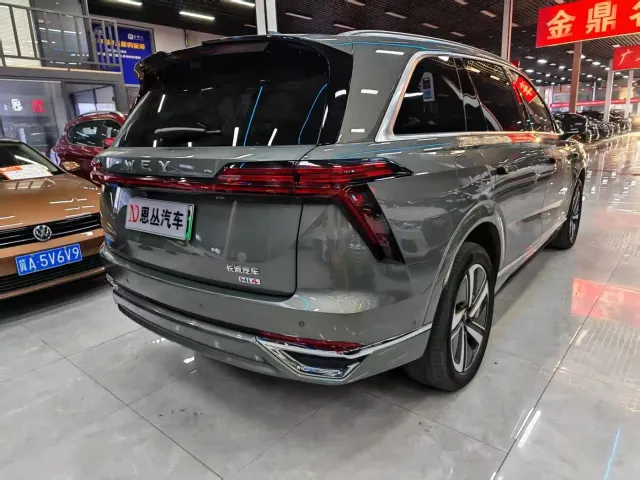 Wey Lanshan — Фото автомобиля 9