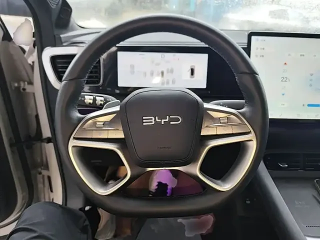 BYD Sealion 06 — Фото автомобиля 6
