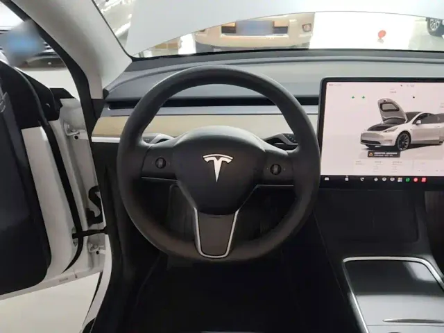 Tesla Model Y — Фото автомобиля 10