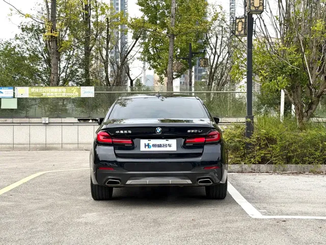 BMW 5 Series — Фото автомобиля 8