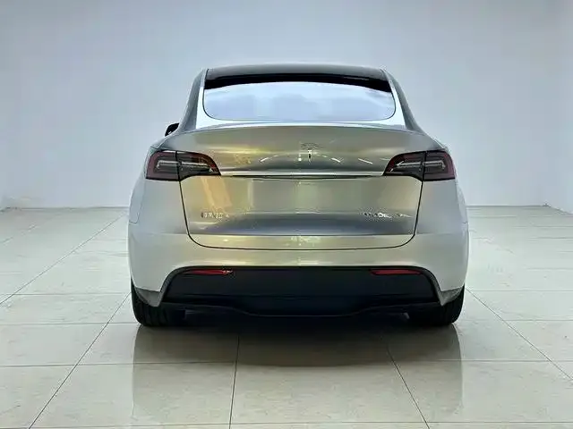 Tesla Model Y — Фото автомобиля 6