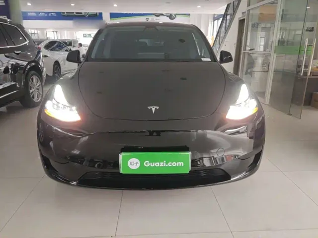 Tesla Model Y — Фото автомобиля 2