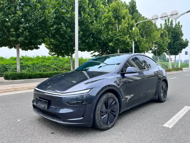 Tesla Model Y — Фото автомобиля 3
