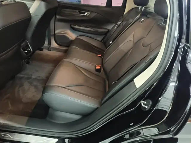 Hongqi E-QM5 — Фото автомобиля 16