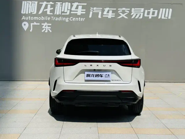 Lexus NX — Фото автомобиля 5