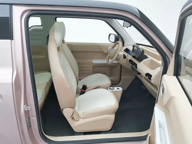 Geely Panda — Фото автомобиля 23