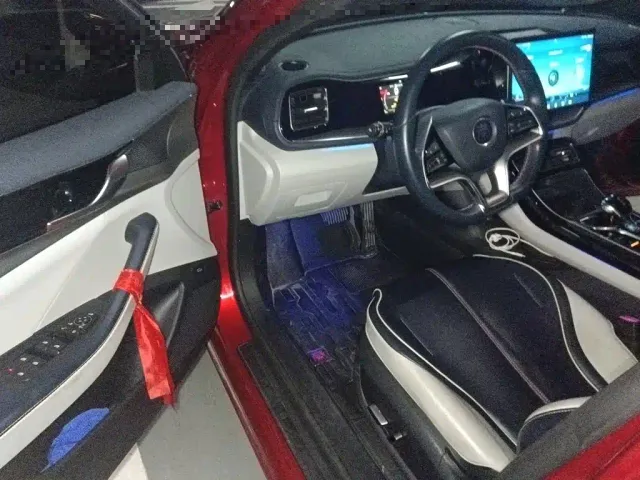 BYD Qin PLUS — Фото автомобиля 12