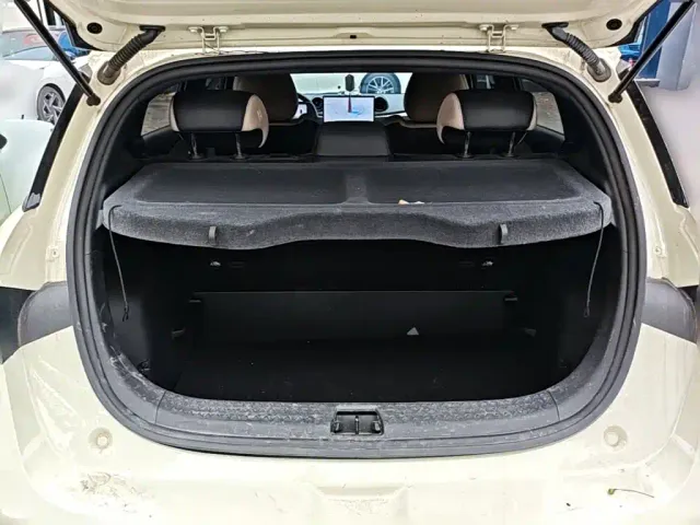 BYD Dolphin — Фото автомобиля 23